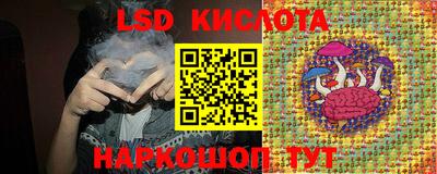 apvp Краснодар