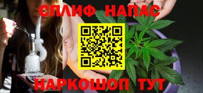 apvp Краснодар