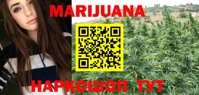 apvp Краснодар
